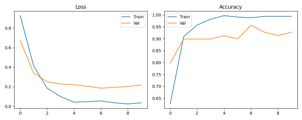 Line charts showing training and validation loss decreasing over 10 epochs, and training and validation accuracy, with validation accuracy plateauing below training accuracy